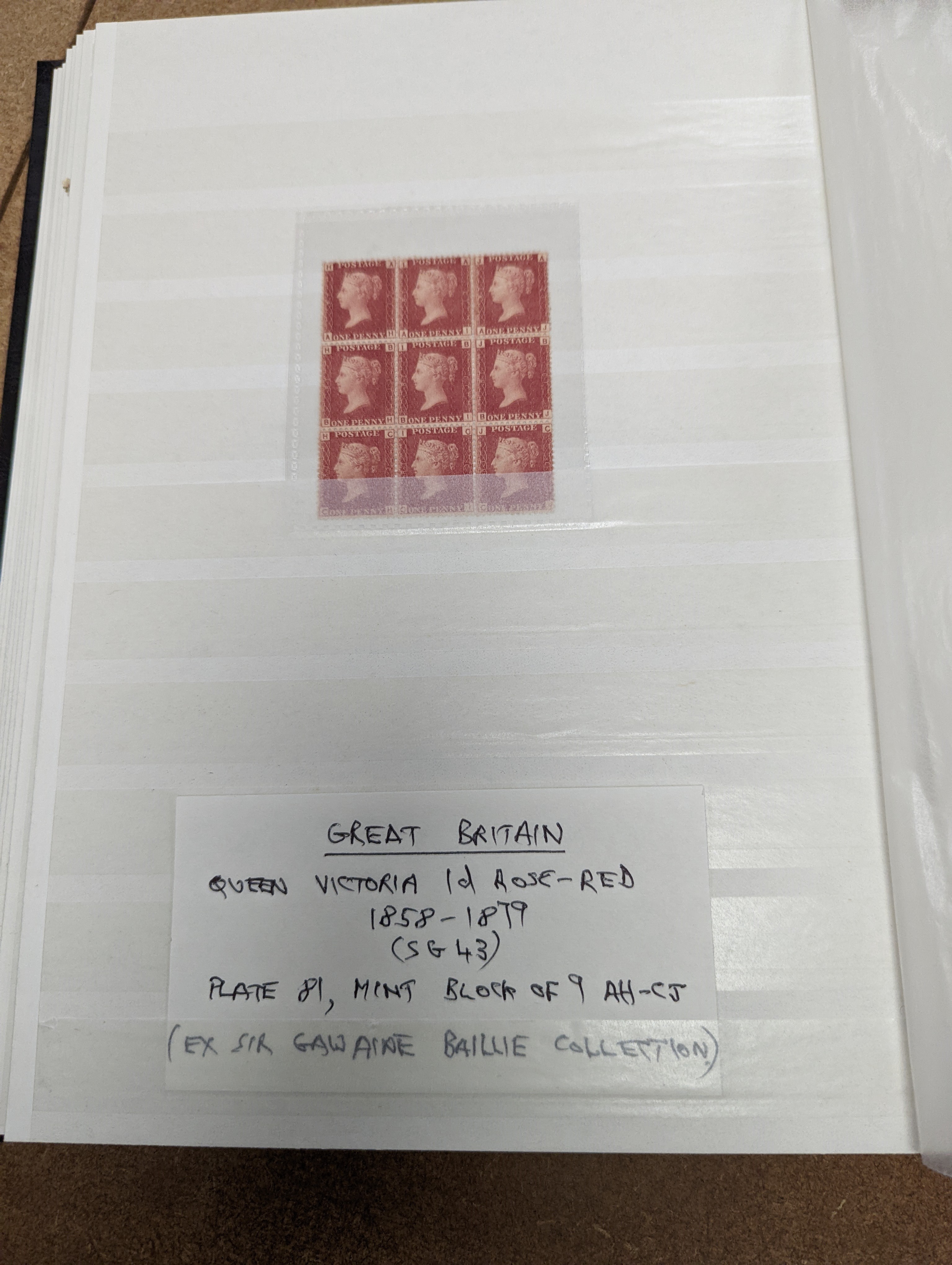 Great Britain stamps in stock book with 1840 1d black and 1841 2d blue unused. 1841 1d red brown mint block of 8, 1864-79 1d red plates in mint blocks including plate 79 block of 48, plate 170 block of 6 with marginal in